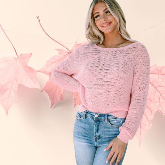 Pink Knitted Eyelet Round Neck Long Sleeve Top with Delicate Details